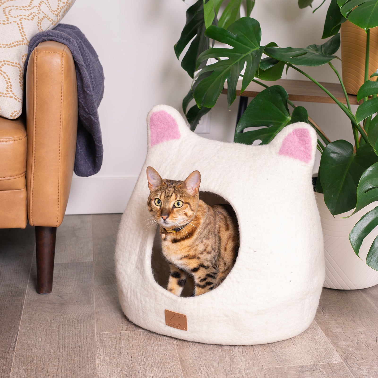 Accented Ears Wool Cat Cave